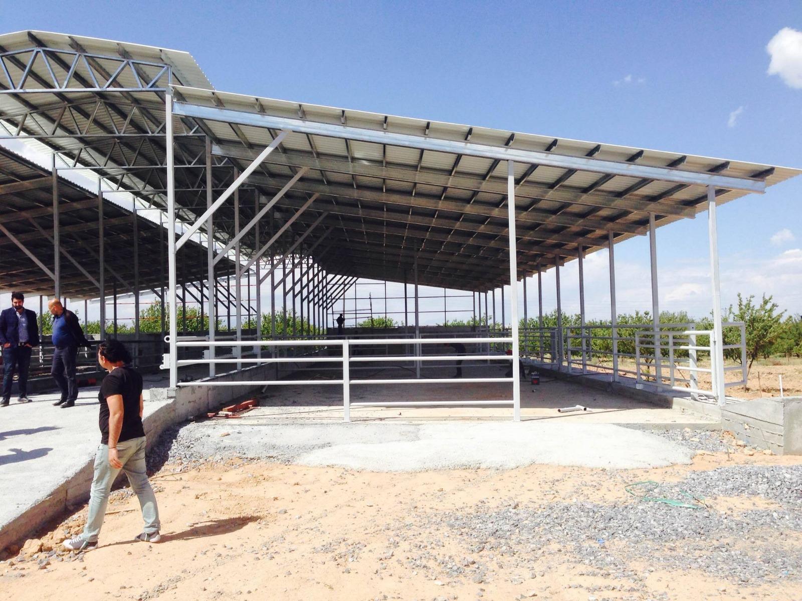 Light Steel Livestock Barn and Shelter Systems
